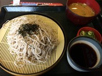 「山わさびそば、」@なか卯 新座道場店の写真