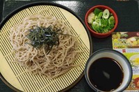 「山わさびそば並430円」@なか卯 上福岡店の写真