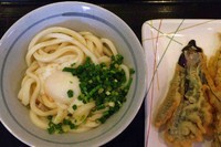 「温玉うどん1玉＋茄子天＆竹輪天」@讃岐うどん 條辺の写真