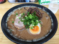 「魚粉豚骨ラーメン  750円  替え玉  100円  中太カタ→」@豚骨ラーメン 新井商店の写真