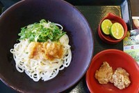 「すだちおろしうどん並490円」@なか卯 上福岡店の写真