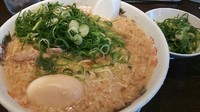 「味玉ラーメン背脂特盛！ネギ特盛！」@来来亭 野田みずき店の写真