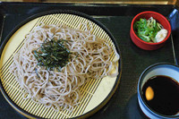 「山わさびそば」@なか卯 上福岡店の写真