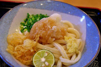 「醤油うどん1玉470円」@讃岐うどん 條辺の写真
