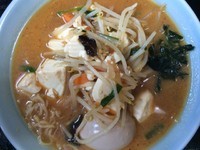 「豆腐辛みそラーメン 700円」@大ちゃん食堂の写真