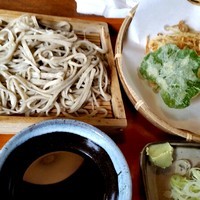 「かき揚天ざる（玉葱かき揚2ヶ）850円」@そば園 佐竹の写真