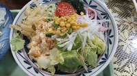 「冷したぬきうどん」@柿の木の写真