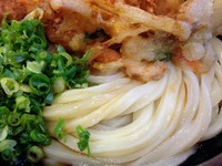 「海鮮かき揚げぶっかけ（冷）」@足柄麺宿の写真