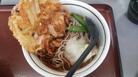 「冷やしおろし天ぷらそば」@山田うどん 新町店の写真