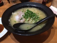 「博多ラーメン/¥490」@博多らーめん 廻天の写真