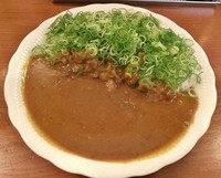 「２号カレー（限定日価格） \500」@ICHIGOUカレーの写真
