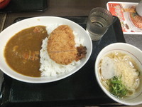 「和風カツカレー590円＆セット小うどん150円」@なか卯 富士吉田新西原店の写真