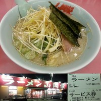 「塩ラーメン(並盛・150g・ネギ増し)610円」@ラーメン 山岡家 高崎倉賀野店の写真