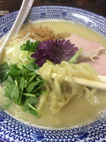 「【限定】鶏白湯ラーメン」@くじら食堂の写真