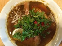 「アジアン煮干そば 850円」@Japanese Soba Noodles 蔦の写真