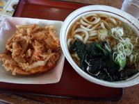 「天ぷらうどん350円」@山田うどん食堂 谷塚店の写真