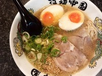 「半熟味玉ラーメン」@ドラゴンスープ 拉麺帝国の写真