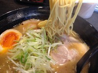 「しょうゆ」@らーめん 五麺八舎 本店の写真
