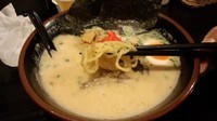 「れんげ特製ラーメン」@麺酒場 れんげの写真