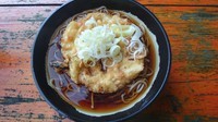 「天ぷらそば」@信州そば蔵 長野インター店の写真