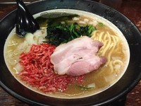 「えび塩（太麺）＋替玉」@豚骨醤油らーめん 誠屋 八幡山本店の写真