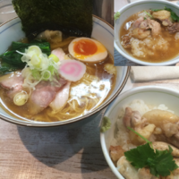 「気まぐれ限定 タマシャモ中華そば 800円」@中華そば 四つ葉の写真