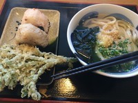 「かけうどん並【360円】」@讃岐うどん 源八の写真