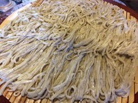 「手打ちそば一升」@そば処 なかや 桑風庵 本店の写真