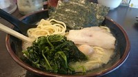 「濃厚とんこつ塩ラーメン」@横浜家系ラーメン 新とんこつ大学 八丁堀キャンパスの写真