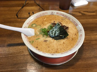 「とんこつ醤油ラーメン」@十代目哲麺 藤沢店の写真
