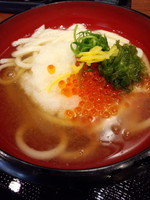 「知床いくらうどん（並）590円」@丸亀製麺 新宿御苑前店の写真