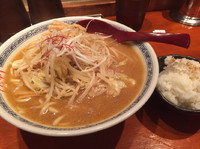 「【限定】味噌ラーメン¥800大盛¥50半ライス(ランチサービス)」@麺食堂 杉本商店の写真