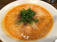 「担担麺+替玉（800+100円）」@創作麺工房 鳴龍の写真