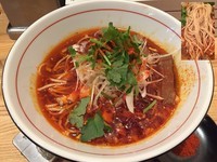 「極選 辛味そば(醤油)＋辛み増し(大辛)別盛」@地球の中華そばの写真