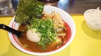 「３番　豚骨+魚介」@らーめん研究所の写真