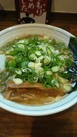 「ネギラーメン」@中華そば むらさき山の写真