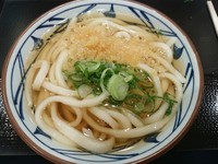「かけうどん(並盛)280円」@丸亀製麺 イーサイト高崎店の写真