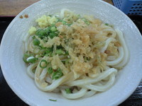 「かけうどん(200円)」@さくら製麺の写真