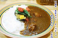 「本日のカレー　地野菜のカレー　800円」@農家カフェ ましゅましゅの写真