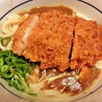 「カツカレーうどん(590円)」@なか卯 盛岡大通り店の写真