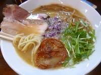 「鶏白湯しょうゆ（800円）」@麺屋 京介の写真