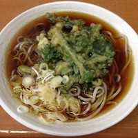 「春菊（￥350）」@わんぱくの写真