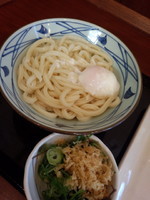 「釜玉うどん（大・温玉）440円他」@丸亀製麺 足立鹿浜店の写真