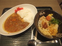 「カレーセット500円(明太おろししょうゆ小)」@はなまるうどん ダイバーシティ東京店の写真