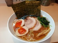 「らーめん中太麺、味玉」@らーめん将貴の写真