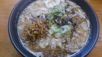 「【限定】カレー味噌ラーメン￥900」@麺屋 渡来人（Try-Jin）の写真
