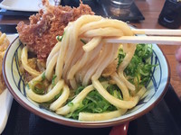 「Wカツカレーうどん（大盛）」@丸亀製麺 桶川店の写真