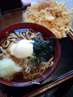 「天ぷらそば530円」@蕎麦 さだはる 西新橋店の写真