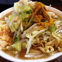 「濃厚豚骨醤油ラーメン（普通盛，240g）全マシ＋カレー粉」@麺屋 鳳の写真