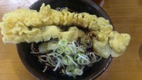 「いか天そば（４３０円）」@野むらの写真